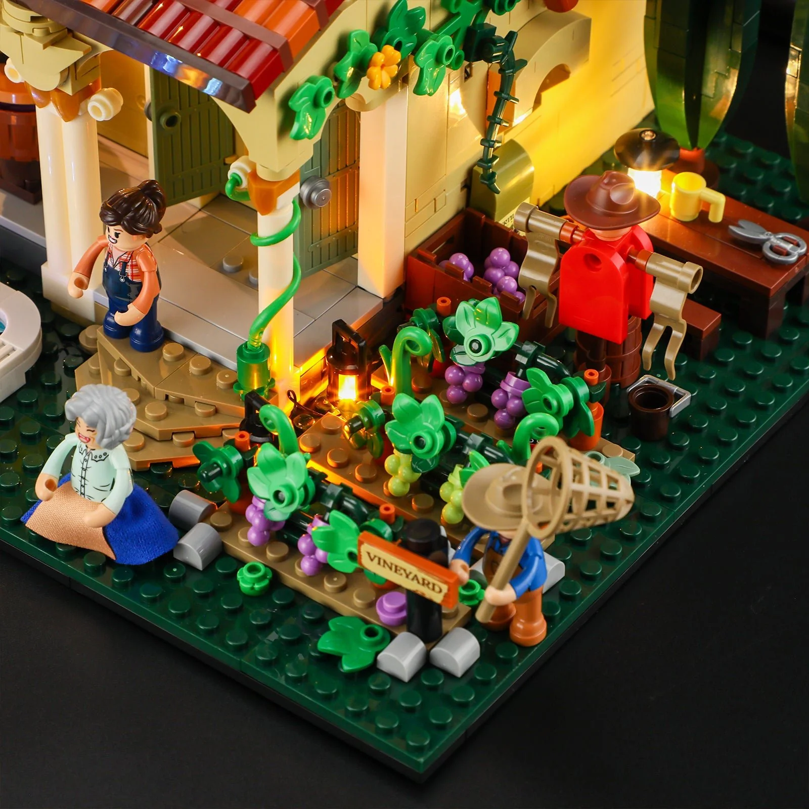 Vineyard Estate - Image 7